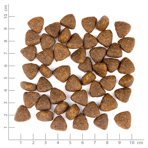 Wolfsblut Limited Ingredients Wide Plain Adult