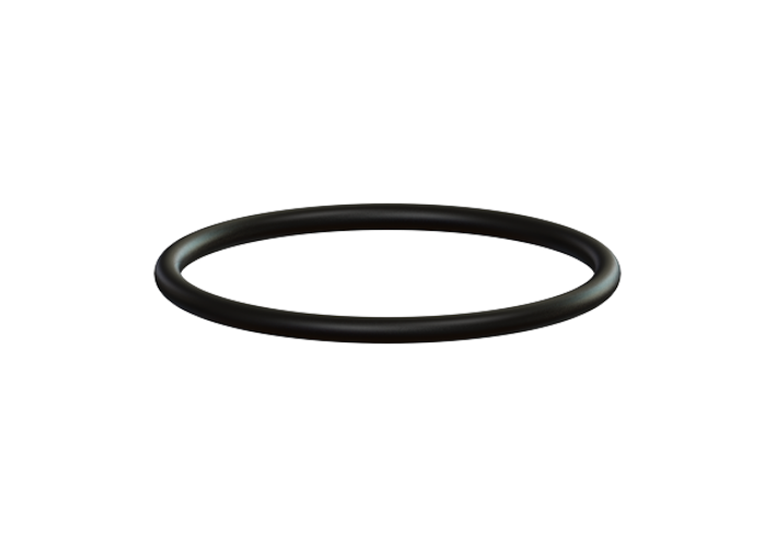 Kessel 680002 - O-Ring für Aqualift XL DN 125