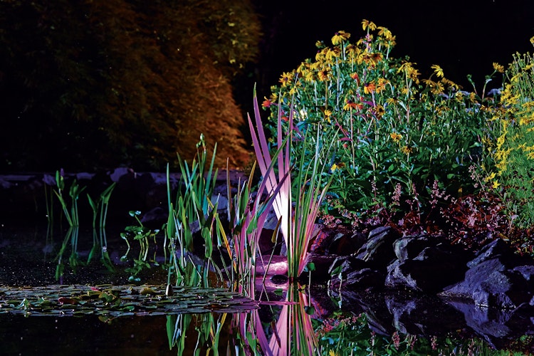 Oase ProfiLux Garden LED RGB