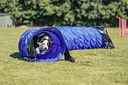 Vorschaubild TRIXIE Fun Agility Basic Tunnel, ø 60 cm/5 m, blau