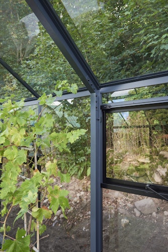 Juliana Gewächshaus Grand Oase anthrazit - 3 mm Sicherheitsglas - 25,6 m²