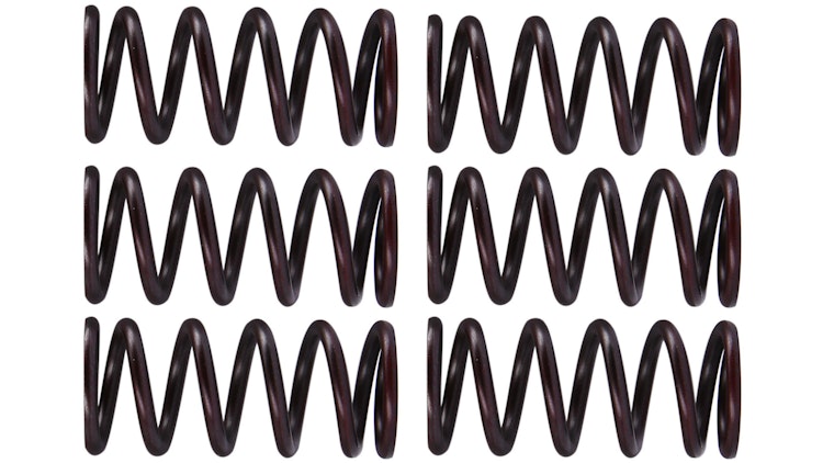 TRW Kupplungsfedernsatz MEF300-6