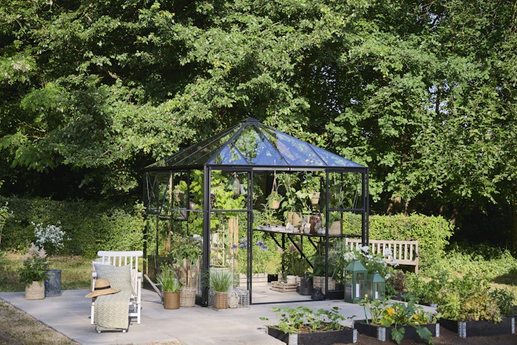 Halls Gewächshaus Qube Square - 6,3 m²