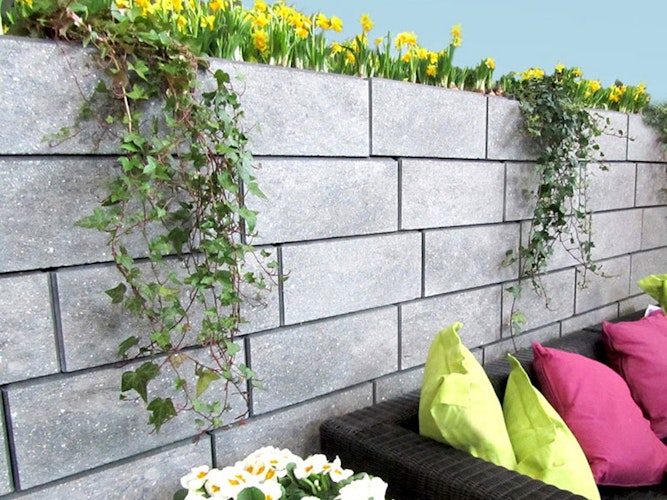 Diephaus Mauersteine TOSA 50 x 40 x 20 cm