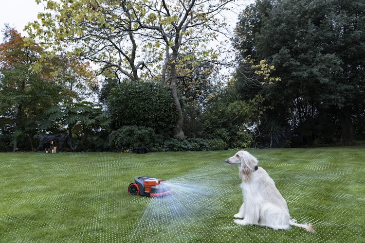 Segway Mähroboter Navimow H206E