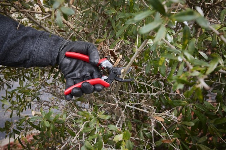 Milwaukee Bypass Gartenschere 20 mm 4932498622