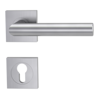 Griffwerk Türgriff Lucia - alle Ausführungen