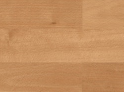 HARO Parkett 4000 TopConnect SB Buche ged. Trend pD