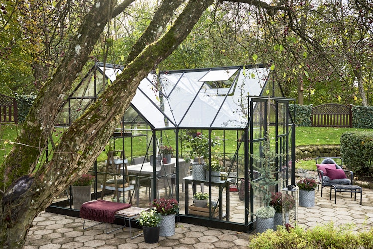 Halls Gewächshaus Garden Room - 12,9 m² inkl. gratis Fundamentrahmen & Fallrohrset