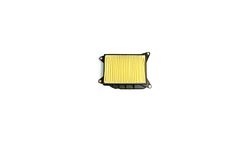 Hiflofiltro Luftfilter HFA4406