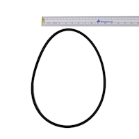 Oase O-Ring SI 100 x 4 SH45 (11497)