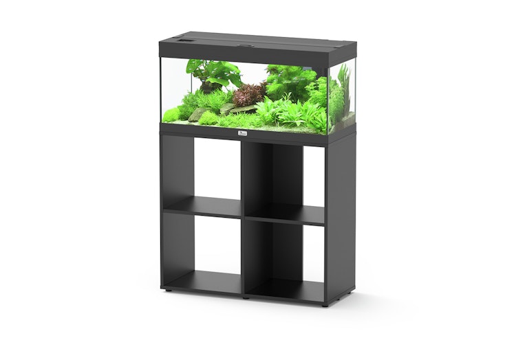 Aquatlantis Prestige 80 Stand Aquarium mit Unterschrank