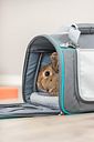 Vorschaubild TRIXIE Wohn- und Transporttasche Vicky, 40 × 27 × 28 cm, grau