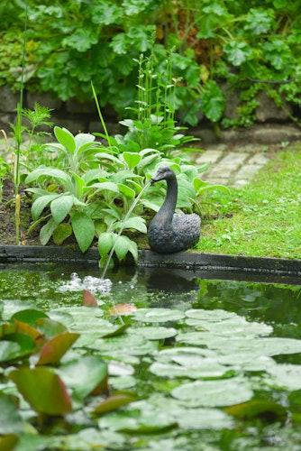 Ubbink Wasserspeier Schwan