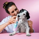 Tierliebhaber Dentalspray