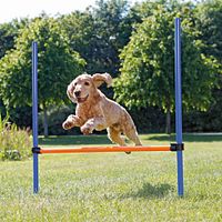 TRIXIE Fun Agility Hürde, Kunststoff, 113 × 110 cm, ø 3 cm, blau/orange