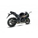 Vorschaubild IXIL RC3B Edelstahl Schwarz Kawasaki Ninja 1000 SX