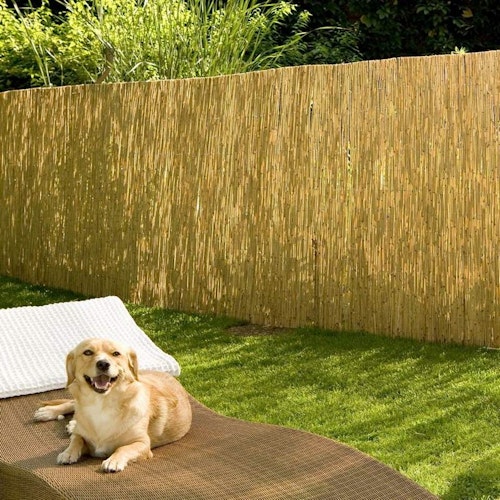 Noor Schilfrohrmatte St. Tropez in verschiedenen Größen