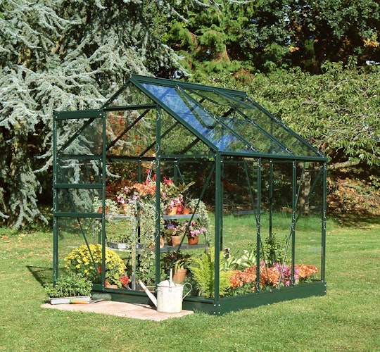 Halls Gewächshaus Popular - 3,8 m² / 5 m² / 6,2 m²