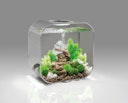 Vorschaubild BiOrb Aquarium LIFE 30 MCR