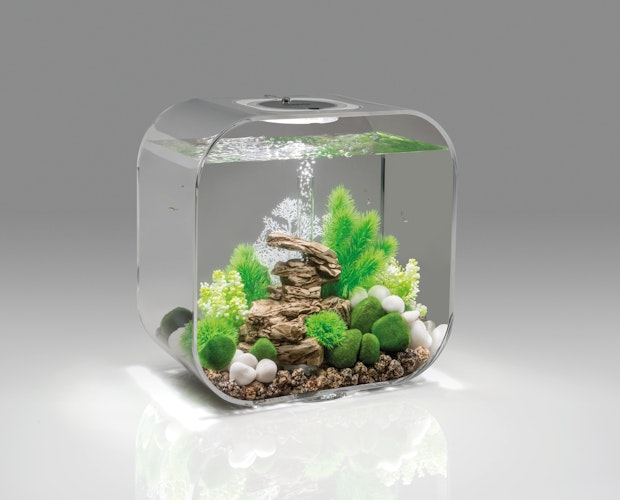 BiOrb Aquarium LIFE 30 MCR
