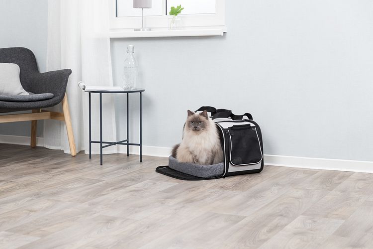 TRIXIE Wohn- und Transporttasche Valery, 29 × 31 × 49 cm, schwarz/grau