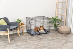TRIXIE Hundebox Home, schwarz