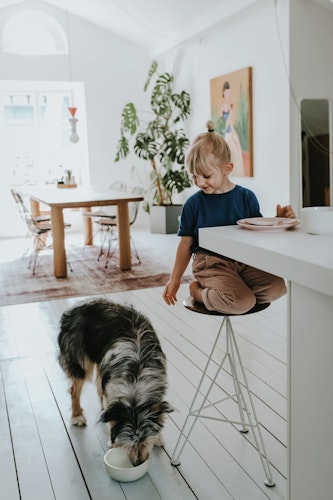 HUNTER Keramik-Napf Lund weiß Hundenapf