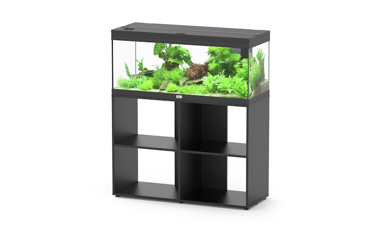 Aquatlantis Prestige 100 Stand Aquarium mit Unterschrank