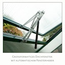 Vorschaubild KGT Gewächshaus Nelke Typ III