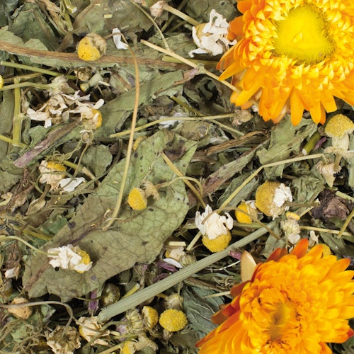 JR FARM Grainless Plus 100g Kleintiersnack