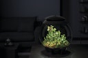 Vorschaubild BiOrb Terrarium AIR 30