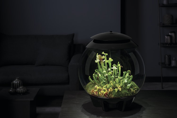 BiOrb Terrarium AIR 30