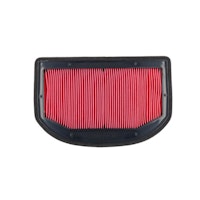 MIW Luftfilter T23111 für Triumph 1215 Tiger Alpine/Desert (20-21),