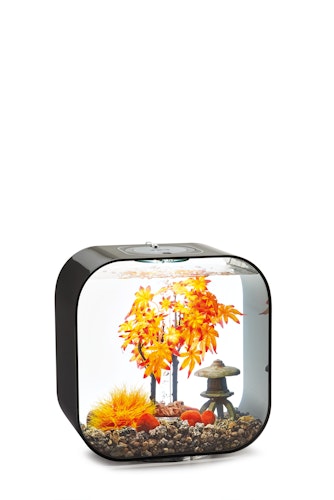 biOrb Decor Set 30L Herbst (55027)