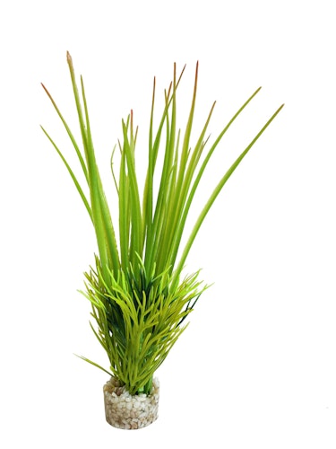 Sydeco Oasis Baby 18 Zentimeter Aquariendekoration