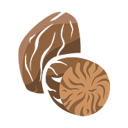 micr_icon_muskatnuss