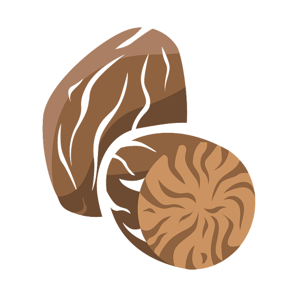 micr_icon_muskatnuss
