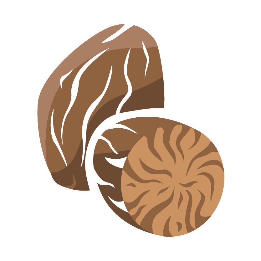 micr_icon_muskatnuss