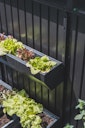 Vorschaubild Biohort FloraBoard Blumenkasten für Avantgarde, Highline, Panorama (Set mit 2 Blumenkästen)