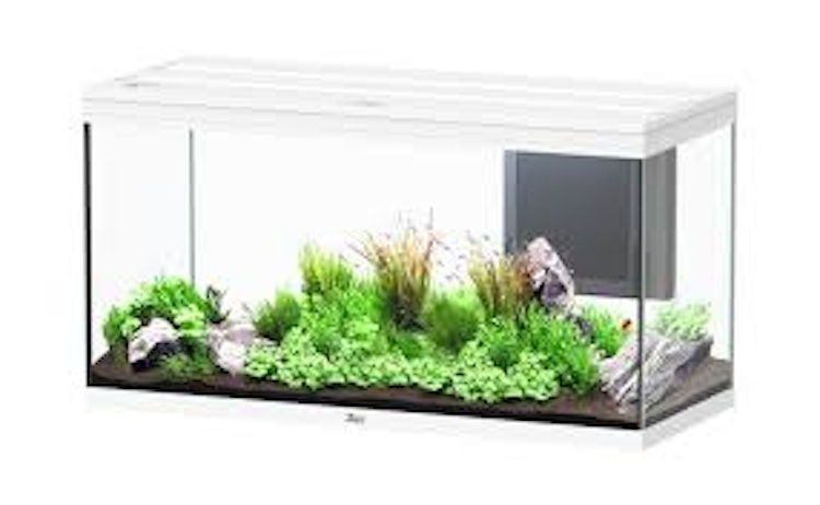 Aquatlantis Volga 350 LED Weiß Aquarium