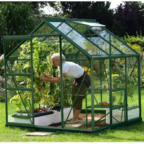 Vitavia Gewächshaus Venus 3800 inkl. 1 Dachfenster - 3,8 m²