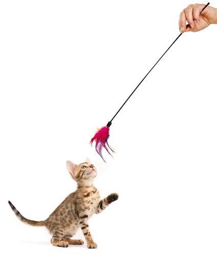 Karlie Federwedel Katzenspielzeug