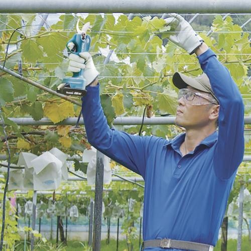 Makita Astschere DUP181Z