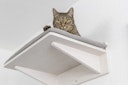 TRIXIE Liegeplatte mit Kissen zur Wandmontage Katzenliegeplatz