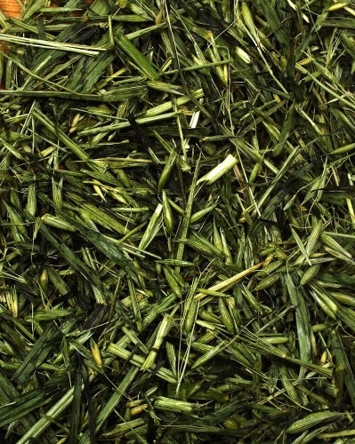 JR FARM Grüner Hafer Kleintierfutter