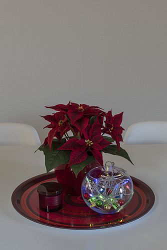 Konstsmide Weihnachtsbeleuchtung  LED Lichterkette an/aus Schalter GL185