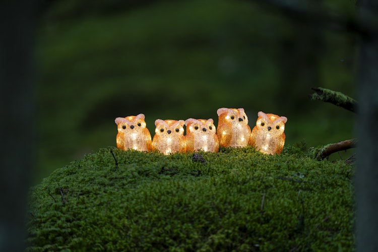 Konstsmide Weihnachtsbeleuchtung LED Acryl Eulen 5-er Set, warmweiß