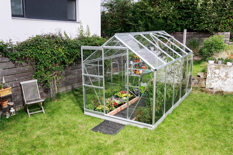 Vitavia Gewächshaus Venus 6200 inkl. 2 Dachfenstern - 6,2 m²