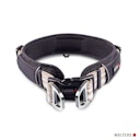 Vorschaubild Wolters Active Pro champagner Halsband